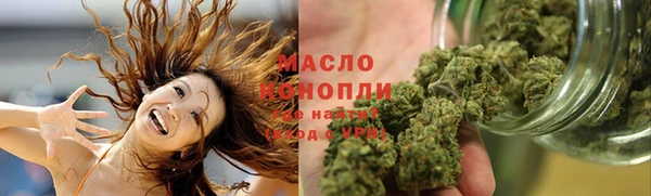 гидра Саяногорск