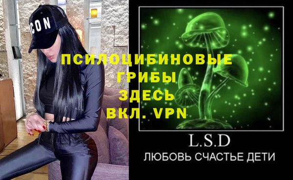 гидра Саяногорск