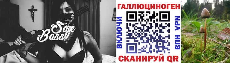 Галлюциногенные грибы GOLDEN TEACHER мориарти наркотические препараты Серафимович